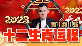 2023年｜兔龍蛇的年運程｜十二生肖癸卯兔年運程大全｜詳細解析