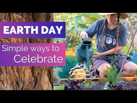 Simple ways to celebrate Earth Day