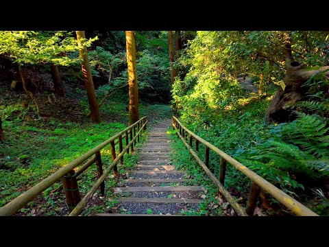 Walking in the forest park in Kamakura. It's like a Ghibli anime world【4K Japan】