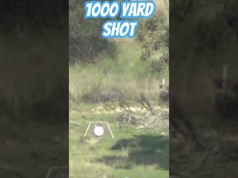 1000 Yard Shot with 6.5 Creedmoor #gun #ozziereviews #longrange #longrangeshooting #65creedmoor