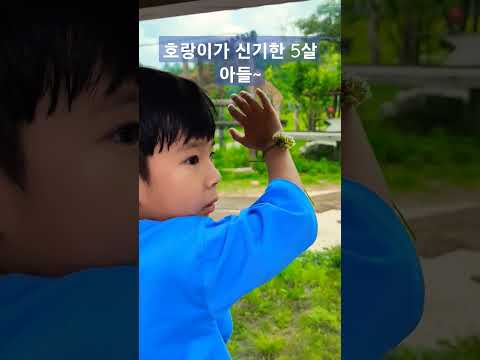 #백두대간수목원#아시아최대규모#1분만에둘러보기#봉화가볼만한곳