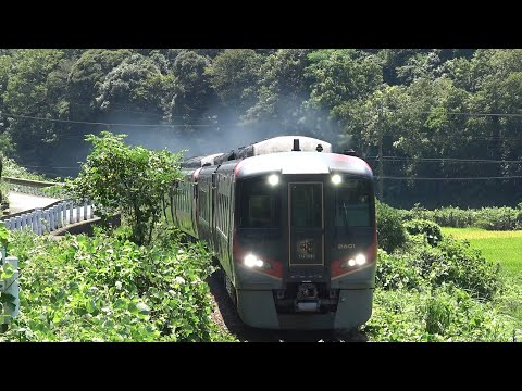 [お盆で増結!] JR四国 高徳線特急うずしお通過集