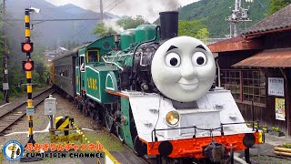 【Train】Railroad crossing movie62 Oigawa Railway Oigawa Main Line  DAY OUT WITH THOMAS in Japan