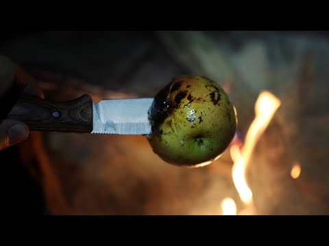 The Tastiest Campfire Snack You Will Ever Have (Simple and Cheap!)