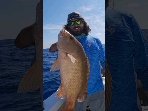 Jigging for Mangrove Snapper in 215ft