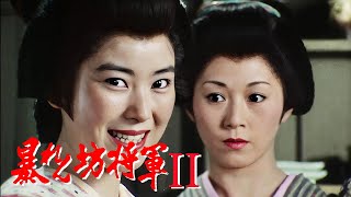 暴れん坊将軍2 FULL HD#12~14 | 時代劇スペシャル 2024