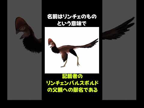 マイナー過ぎる恐竜「リンチェニア」の生態 #動物 #生き物 #shorts #雑学 #豆知識 #おもしろい #恐竜