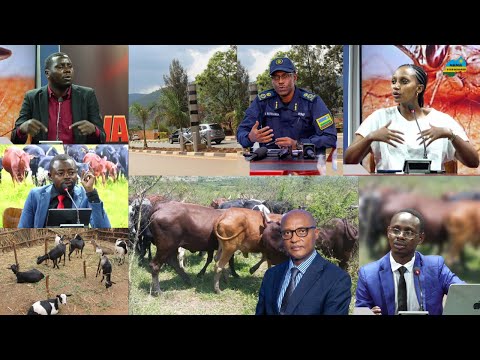 POLISI YASUBIJE ABAVUGA KO CAMERA ZIBESHYA || ABOROZI B’INKA BARATABAZA KUBERA ISAZI YA TSETSE