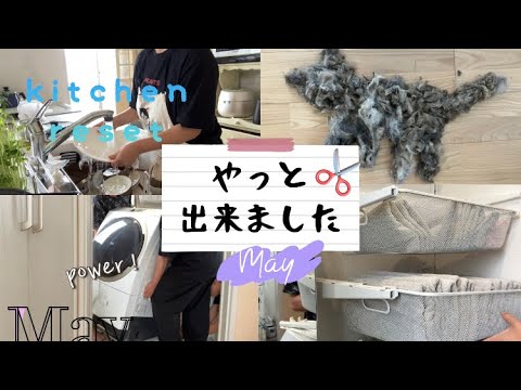 【小学生中学生ママ】洗濯機の台をキャスター付きの台に変えました✨猫のサマーカット🐈✂️/キッチンリセット