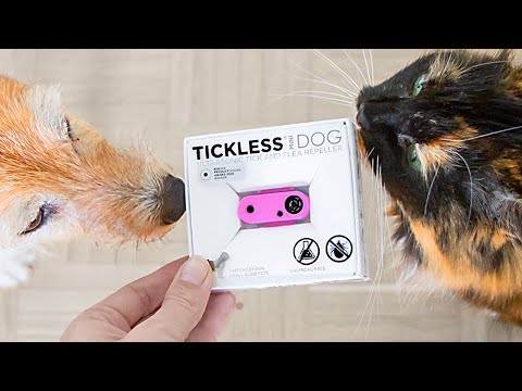 YOU NEED THIS against ticks and fleas 🤩  | TICKLESS review (I bought it!)