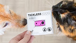 YOU NEED THIS against ticks and fleas 🤩  | TICKLESS review (I bought it!)