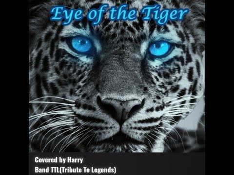 Eye of The Tiger (Survivor) cover by Harry_Band TTL(Tribute To Legends)