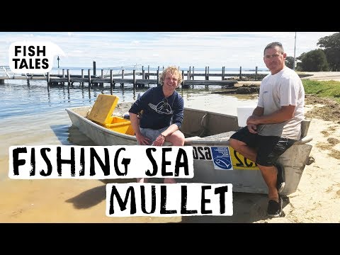 Fishing SEA MULLET in Western AUSTRALIA | Bart van Olphen