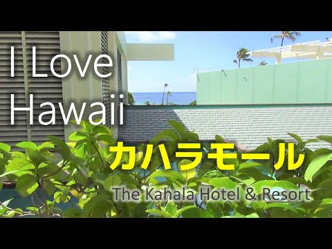 【 ハワイ旅行 】カハラホテルからカハラモールへ　The Kahala Hotel & Resort Hawaii カハラホテル＆リゾート