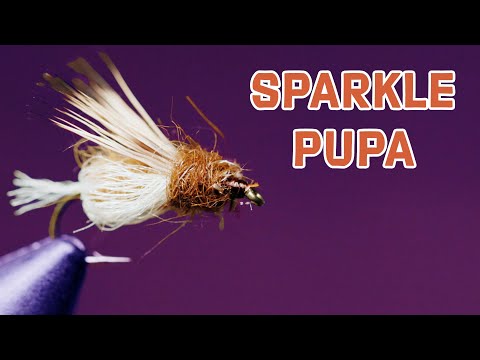 Sparkle Pupa Fly Pattern | Gary LaFontaine | Fly Tying Tutorial