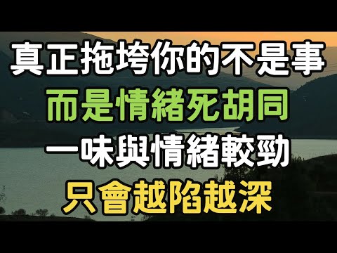 真正拖垮你的不是事，而是情緒死胡同，一味與情緒較勁，只會越陷越深。#情緒 #拖垮 #i愛生活life