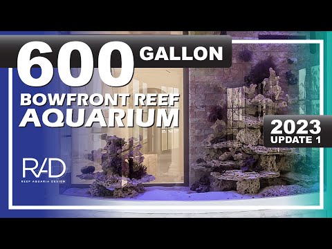 600-GALLON BOWFRONT REEF AQUARIUM BY REEF AQUARIA DESIGN. INSTALLED IN NAPLES, FLORIDA. PART 2