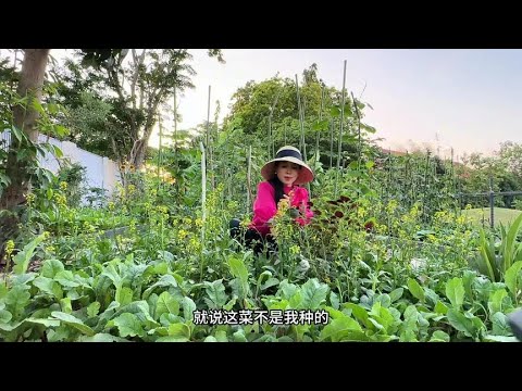 假期结束，回到家踏踏实实的种菜种花，每次都想感叹在家真好！