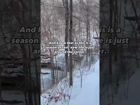 Winter Hiking to a Frozen Waterfall in TN