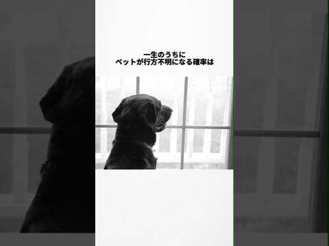 動物に関する確率の雑学