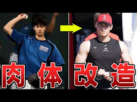 【プロ野球】筋トレでパフォーマンスをぶち上げた選手たち！！