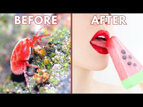 This Is How Lipstick Is Made, It’s Way Worse Than You Thought!