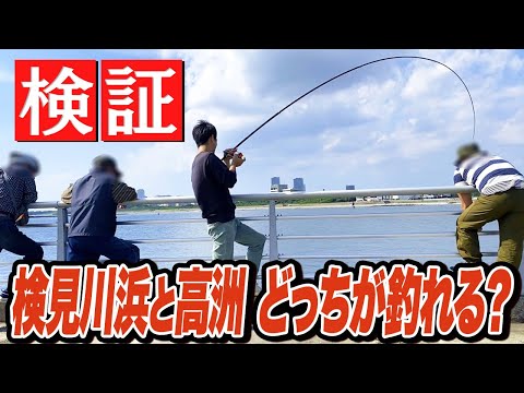 【高洲海浜公園/検見川浜突堤】イシモチとシロギスを狙って釣り比べ！