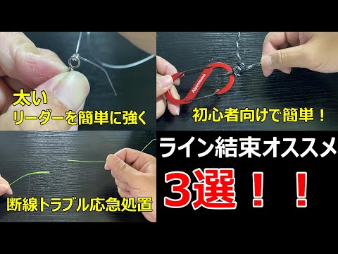 これは使える！ラインの結び方オススメ3選 泳がせ釣りにも使えます！【51釣目】 　3 recommended ways to tie a fishing line　#リーダー　#ノット　#初心者