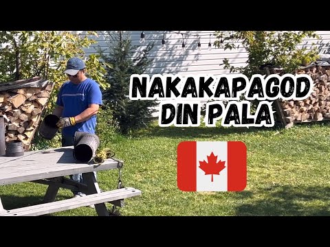 BAKIT MADALANG KAMI MAKA VLOG NGAYON  | GROCERY HAUL #buhaycanada #itincanada