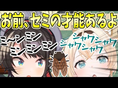 【セミセッション】上手すぎる風真いろはのセミ真似を聞いて過去の自分が恥ずかしくなる大空スバル【ホロライブ切り抜き】