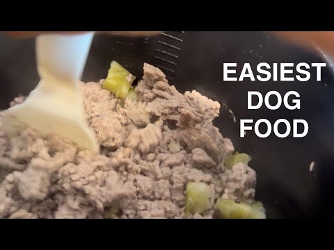 Quick & Healthy Dog Food Recipe—Ready in Minutes! 🐶🍲”