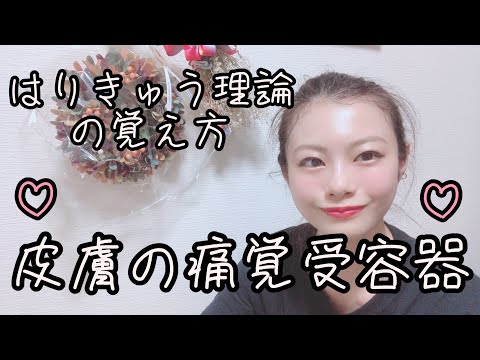 【はりきゅう理論】皮膚の痛覚受容器を覚える方法！【Biancaなざと】