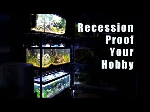 Tips On Recession Proofing Your Aquarium Hobby