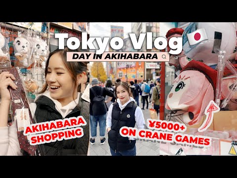 Being irresponsible adults in AKIHABARA 💀 Christmas Shopping | Daily LIVING IN JAPAN 🇯🇵