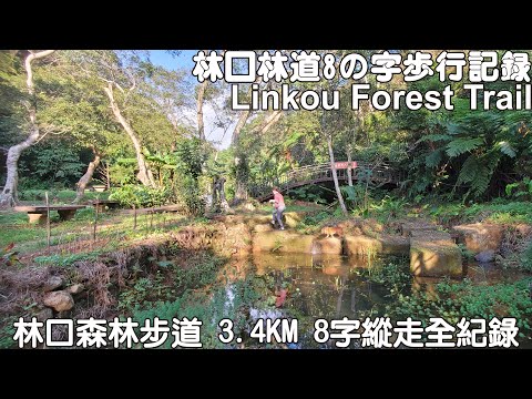 Linkou Forest Trail 3.4km 8-figure longitudinal walking record