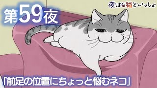 アニメ『夜は猫といっしょ』第59夜「前足の位置にちょっと悩むネコ」