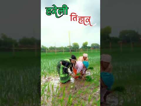 हमर छत्तीसगढ़ के पहला तिहार हरेलीआगे#cg #cgsong #cgshorts #cgviral #cgtrending #hareli #harelitihar