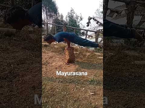 Mayurasana #kalarippayattu #yoga #fitness #mokshahum