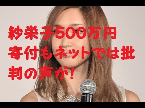 紗栄子500万円寄付もネットでは批判？その理由とは？