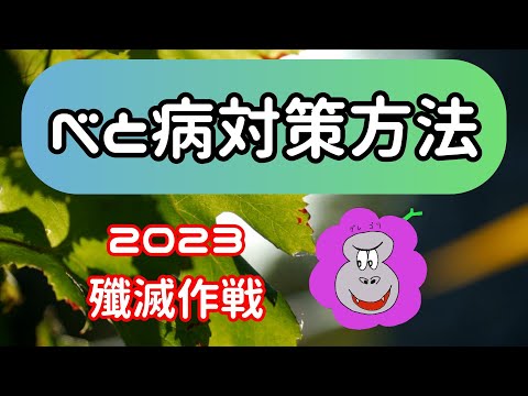 ぶどうべと病対策方法２０２３