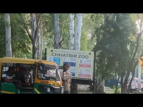 Punjab, Chhatbir Zoo Part 1. @tenchisatv944