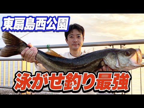 【東扇島西公園】一投で85cmランカーシーバス！いま湾奥のコノシロぶっ込み泳がせ釣りが熱い！