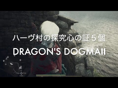 ハーヴ村の探究心の証５個【DRAGON'S DOGMA2 PS5】