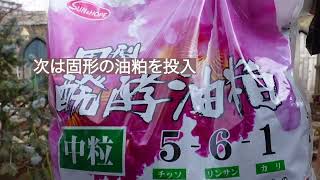 庭作業　２月　バラをたくさん咲かせるには