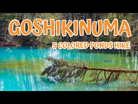 Japan's Most COLORFUL Hiking Trail! Goshikinuma Pond Fukushima (5 Colored Pond Hike)