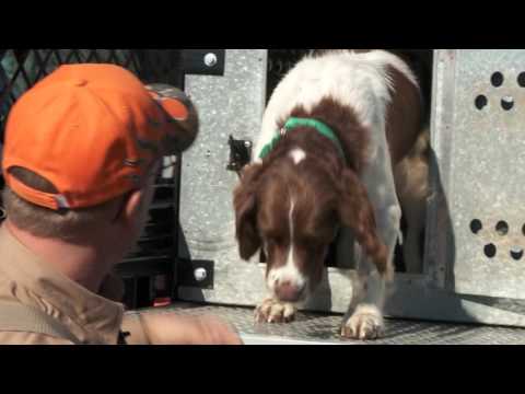 Transitioning From the Truck to the Field -- Safe Shooting & Hunting Tips with Dave Miller