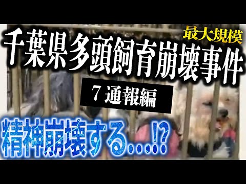 【通報編】約220頭の多頭飼育崩壊事件の裏側…相談者の母親が暴走して警察沙汰に!?通報した視聴者から話を聞いてみる