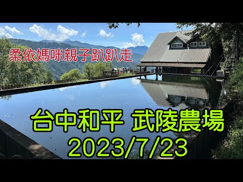 台中和平 武陵農場 2023/7/23