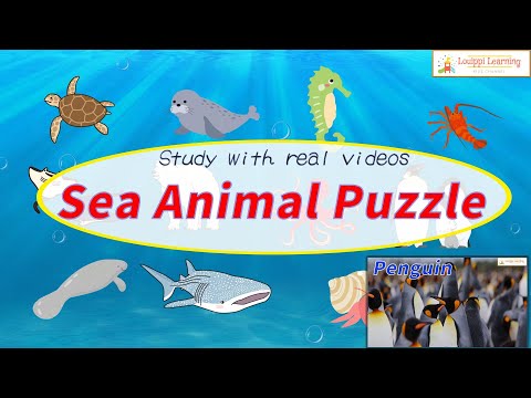 [ English ] Sea animals Flashcard video for kids,Toddlers,Baby