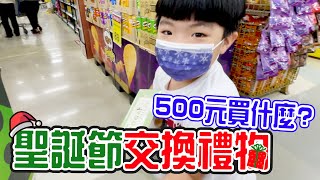 聖誕節交換禮物 🎄 在家樂福500元可以買什麼  #家樂福愛河店 恩恩老師EanTV